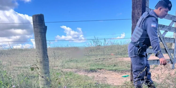 Homem é encontrado morto em área de pastagem em Linhares Homem é encontrado morto em área de pastagem em Linhares