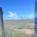 Homem é encontrado morto em área de pastagem em Linhares